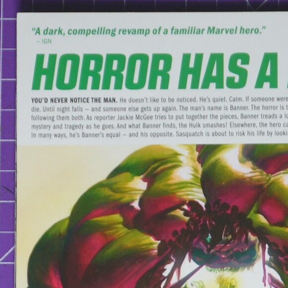IMMORTAL HULK VOL. 1: OR IS HE BOTH? Paperback - Picture 3 of 3